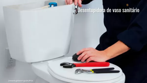 Desentupimento de vaso sanitário Curitiba